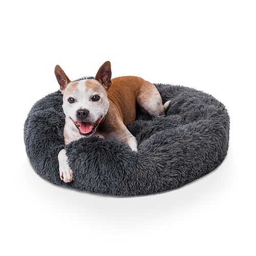 Woof & Whiskers Donut-Hundebett, dunkelgrau, mittelgroß, Donut-Bett, beruhigendes Hunde- und Katzenbett, rund, Plüsch, Donut-Kuschelbett mit rutschfester Unterseite, Anti-Angst-Eigenschaften, Woof & Whiskers Donut-Hundebett, dunkelgrau, mittelgroß, Donut-Bett, beruhigendes Hunde- und Katzenbett, rund, Plüsch, Donut-Kuschelbett mit rutschfester Unterseite, Anti-Angst-Eigenschaften, von Woof & Whiskers