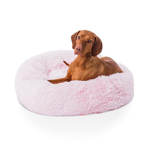Woof & Whiskers Donut-Hundebett, groß, 80 cm, Donut-Bett, beruhigendes Hunde- und Katzenbett, rund, Plüsch-Donut-Bett mit rutschfester Unterseite, Anti-Angst-Eigenschaften, maschinenwaschbar (Rosa, 80 Woof & Whiskers Donut-Hundebett, groß, 80 cm, Donut-Bett, beruhigendes Hunde- und Katzenbett, rund, Plüsch-Donut-Bett mit rutschfester Unterseite, Anti-Angst-Eigenschaften, maschinenwaschbar (Rosa, 80 von Woof & Whiskers