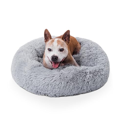 Woof & Whiskers Donut-Hundebett, hellgrau, mittelgroß, Donut-Bett, beruhigendes Hunde- und Katzenbett, rund, Plüsch, Donut-Kuschelbett mit rutschfester Unterseite, Anti-Angst, maschinenwaschbar Woof & Whiskers Donut-Hundebett, hellgrau, mittelgroß, Donut-Bett, beruhigendes Hunde- und Katzenbett, rund, Plüsch, Donut-Kuschelbett mit rutschfester Unterseite, Anti-Angst, maschinenwaschbar von Woof & Whiskers