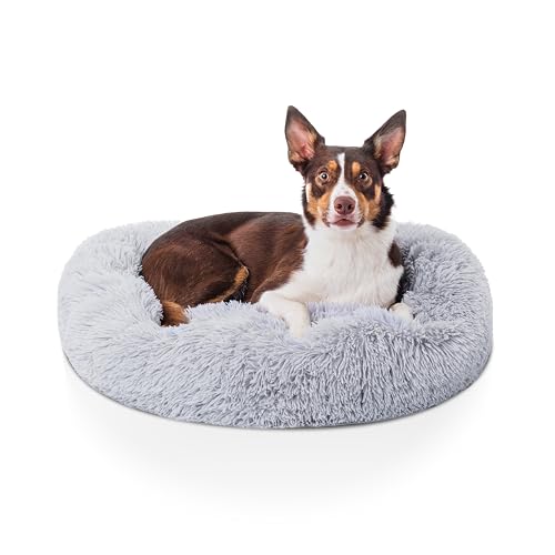 Woof & Whiskers Donut-Hundebett, mittelgroß, 70 cm, beruhigendes Hundebett, rund, Plüsch, Donut-Kuschelbett mit rutschfester Unterseite, Anti-Angst-Eigenschaften, maschinenwaschbar (Hellgrau, 70 cm) Woof & Whiskers Donut-Hundebett, mittelgroß, 70 cm, beruhigendes Hundebett, rund, Plüsch, Donut-Kuschelbett mit rutschfester Unterseite, Anti-Angst-Eigenschaften, maschinenwaschbar (Hellgrau, 70 cm) von Woof & Whiskers