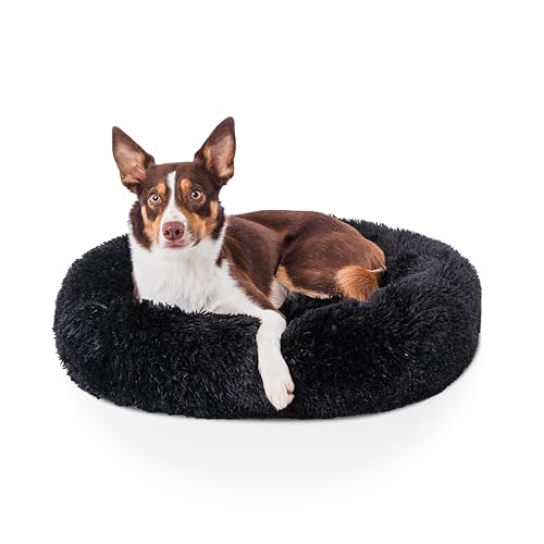 Woof & Whiskers Donut-Hundebett, schwarz, Größe M, 70 cm, Donut-Bett, beruhigendes Hunde- und Katzenbett, rund, Plüsch, Donut-Kuschelbett mit rutschfester Unterseite, Anti-Angst-Eigenschaften, Woof & Whiskers Donut-Hundebett, schwarz, Größe M, 70 cm, Donut-Bett, beruhigendes Hunde- und Katzenbett, rund, Plüsch, Donut-Kuschelbett mit rutschfester Unterseite, Anti-Angst-Eigenschaften, von Woof & Whiskers