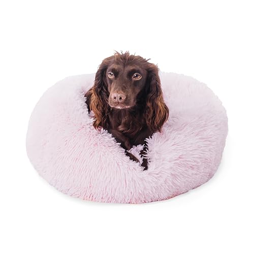 Woof & Whiskers Donut-Hundebett für kleine Kätzchen, beruhigendes Hunde- und Katzenbett, 50 cm, rund, Plüsch, Donut-Kuschelbett mit rutschfester Unterseite, Anti-Angst-Eigenschaften, maschinenwaschbar Woof & Whiskers Donut-Hundebett für kleine Kätzchen, beruhigendes Hunde- und Katzenbett, 50 cm, rund, Plüsch, Donut-Kuschelbett mit rutschfester Unterseite, Anti-Angst-Eigenschaften, maschinenwaschbar von Woof & Whiskers