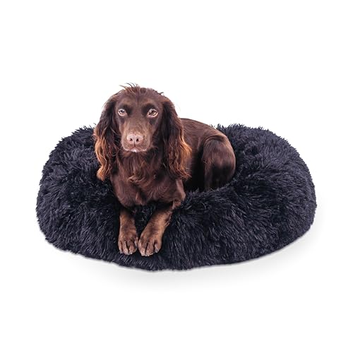 Woof & Whiskers Donut-Hundebett für kleine Welpen, beruhigendes Hunde- und Katzenbett, 50 cm, rund, Plüsch, Donut-Kuschelbett mit rutschfester Unterseite, Anti-Angst-Eigenschaften, maschinenwaschbar Woof & Whiskers Donut-Hundebett für kleine Welpen, beruhigendes Hunde- und Katzenbett, 50 cm, rund, Plüsch, Donut-Kuschelbett mit rutschfester Unterseite, Anti-Angst-Eigenschaften, maschinenwaschbar von Woof & Whiskers