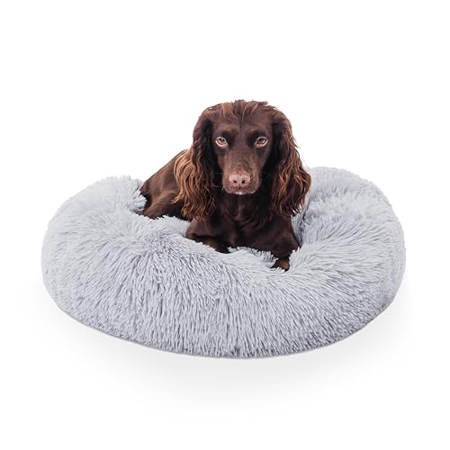 Woof & Whiskers Kleines Donut-Hundebett, hellgrau, kleines Welpenbett, 50 cm, beruhigendes Hunde- und Katzenbett, rund, Plüsch, Donut-Kuschelbett mit rutschfester Unterseite, Anti-Angst, Woof & Whiskers Kleines Donut-Hundebett, hellgrau, kleines Welpenbett, 50 cm, beruhigendes Hunde- und Katzenbett, rund, Plüsch, Donut-Kuschelbett mit rutschfester Unterseite, Anti-Angst, von Woof & Whiskers