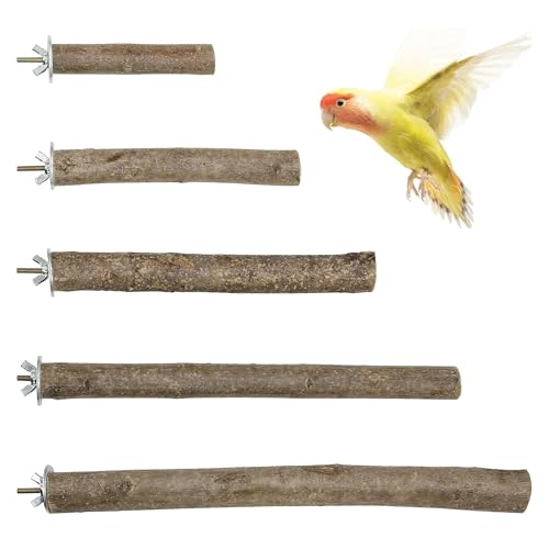 Woohome 5 Stück Natur Sitzstangen für Vögel, Vögel Spielzeug Naturholz Sitzstangen Wellensittich Vogelstangen für Vogelkäfig Zubehör, Käfig Äste Woohome 5 Stück Natur Sitzstangen für Vögel, Vögel Spielzeug Naturholz Sitzstangen Wellensittich Vogelstangen für Vogelkäfig Zubehör, Käfig Äste von Woohome