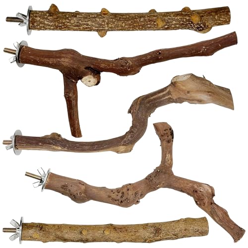 Woohome 5 Stück Natur Sitzstangen für Vögel, Vogelstange aus Holz, Vogel Spielzeug Sitzstangen Set für Wellensittich Nymphensittich Kanarienvogel Woohome 5 Stück Natur Sitzstangen für Vögel, Vogelstange aus Holz, Vogel Spielzeug Sitzstangen Set für Wellensittich Nymphensittich Kanarienvogel von Woohome