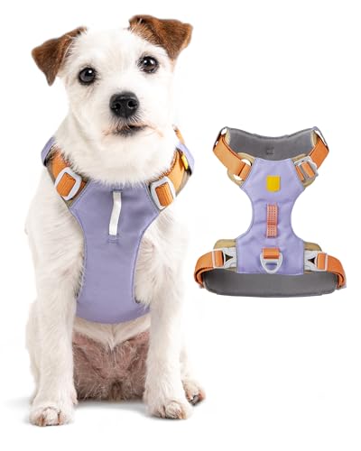 Woolly Wolf Alpha 360 Dog Harness M Lavendel Mix - Hundegeschirr für mittelgroße Hunde aus 100% recyceltem Polyester, Verstellbar & leicht, Perfekt an den Hundekörper anpassbar von Woolly Wolf