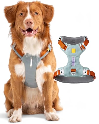 Woolly Wolf Alpha 360 Dog Harness XS Gletschergrün - Hundegeschirr für kleine Hunde aus 100% recyceltem Polyester, Verstellbar & leicht, Perfekt an den Hundekörper anpassbar Woolly Wolf Alpha 360 Dog Harness XS Gletschergrün - Hundegeschirr für kleine Hunde aus 100% recyceltem Polyester, Verstellbar & leicht, Perfekt an den Hundekörper anpassbar von Woolly Wolf