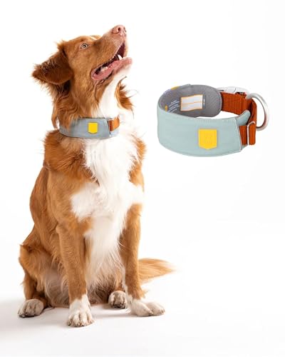 Woolly Wolf Alpha 360 Halsband für große Hunde Gr. L Gletschergrün - Nachhaltig & bequem, Reflektierend für erhöhte Sicherheit bei schlechter Sicht von Woolly Wolf