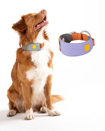 Woolly Wolf Alpha 360 Halsband für mittelgroße Hunde Gr. M Lavendel Mix - Nachhaltig & bequem, Reflektierend für erhöhte Sicherheit bei schlechter Sicht von Woolly Wolf