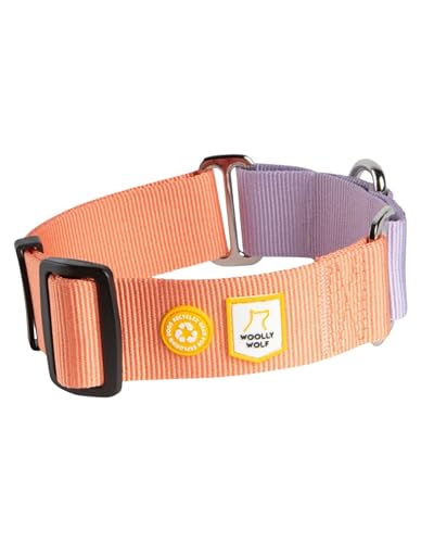 Woolly Wolf Color Block Halsband für kleine Hunde Gr. S Lachsrosa - Trainingshalsband mit maximaler Passform, Sanfte Kontrolle ohne Würgeeffekt, Aus recyceltem Material von Woolly Wolf