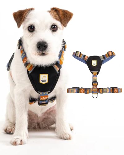 Woolly Wolf Nightless Night Dog Harness S - Hundegeschirr für kleine Hunde aus recyceltem Polyester, Perfekte Passform und Reflektoren für erhöhte Sichtbarkeit Woolly Wolf Nightless Night Dog Harness S - Hundegeschirr für kleine Hunde aus recyceltem Polyester, Perfekte Passform und Reflektoren für erhöhte Sichtbarkeit von Woolly Wolf