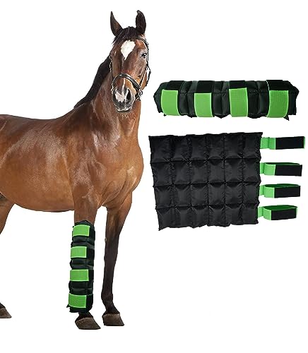 World-Bio Pferde-Eisbeutel für Pferdesverletzungen, Muskelschmerzen, kühlende Beine, Kältebandagen für Hock, Knöchel, Knie, Beine, Stiefel und Hufe, schwarz-grün, 1 Paar (2 Packungen) von World-Bio