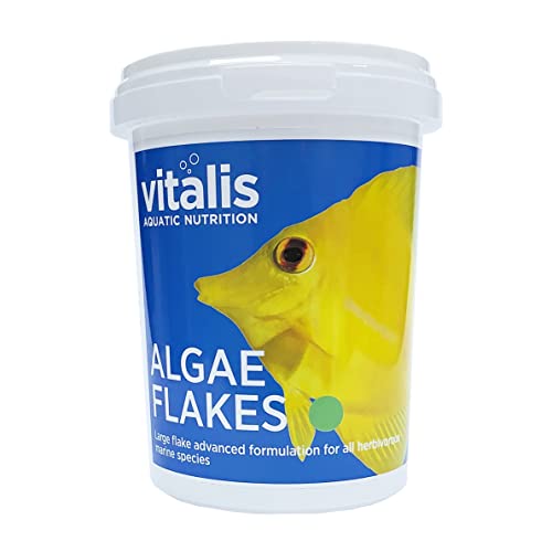 Vitalis Algae Flakes Fischfutter Aquarium Fischfutter Aquarium Flakes für pflanzenfressende Meerestiere - Hochverdaulich und Ausgewogen - Vitamine und Mineralien (40g) von World Feeds Limited