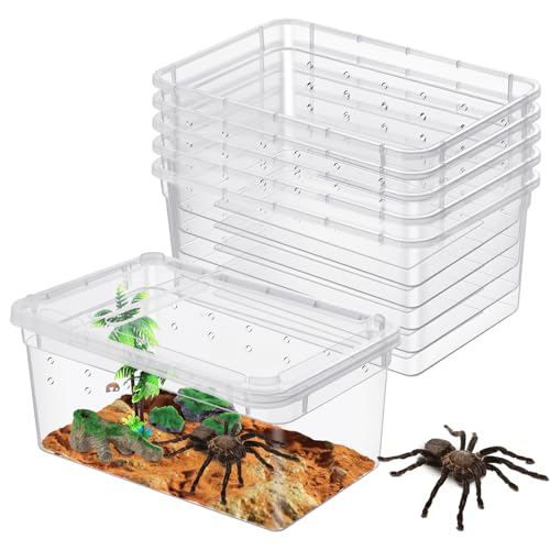 Worldity 8 Stück Reptilien Futterbox Kunststoff Spinne Terrarium Vogelspinne Futterbox für Bartagamen, Eidechse, Spinne, Gecko, Skorpion, 13 x 8 x 6,5 cm Worldity 8 Stück Reptilien Futterbox Kunststoff Spinne Terrarium Vogelspinne Futterbox für Bartagamen, Eidechse, Spinne, Gecko, Skorpion, 13 x 8 x 6,5 cm von Worldity
