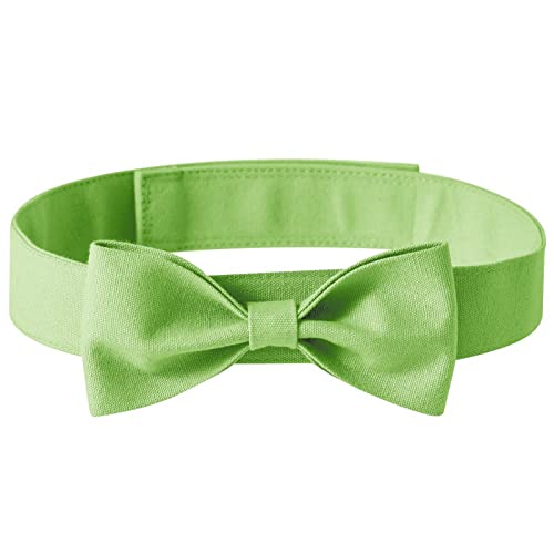 Worparsen Haustier-Krawatte, dekoratives Halsband, verstellbar, einfarbig, Hellgrün, Größe S von Worparsen
