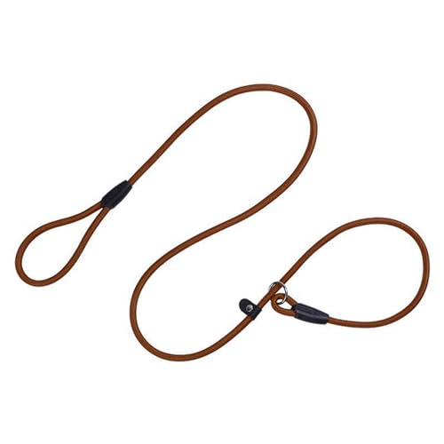 Worparsen Strapazierfähige Hundeleine, robust, verstellbare Schlaufe, hochdichtes Nylon, geflochtenes Seil, lebendige Farben, Training für große, mittelgroße und kleine Hunde, Braun Worparsen Strapazierfähige Hundeleine, robust, verstellbare Schlaufe, hochdichtes Nylon, geflochtenes Seil, lebendige Farben, Training für große, mittelgroße und kleine Hunde, Braun von Worparsen