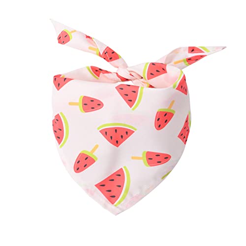 Worparsen Teddy Kerchief Multifunktionale Frucht Kiwi Teddy Kerchief Universal Komfortabel Wassermelone von Worparsen