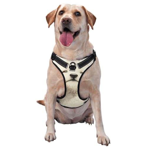 Havaneser Hundegeschirr, kein Ziehen, verstellbar, reflektierend, Oxford, einfache Kontrolle, Größe M und L von Woshuwo