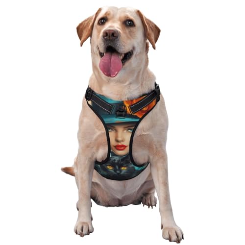 Hundegeschirr für Damen, kein Ziehen, verstellbar, reflektierend, Oxford, einfache Kontrolle, Größe M, L, Blau / Türkis von Woshuwo