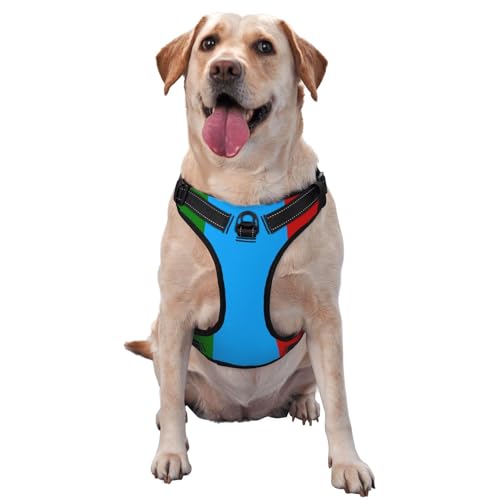 Hundegeschirr mit Karelien-Flagge, kein Ziehen, verstellbar, reflektierend, Oxford, einfache Kontrolle, Größe M und L von Woshuwo