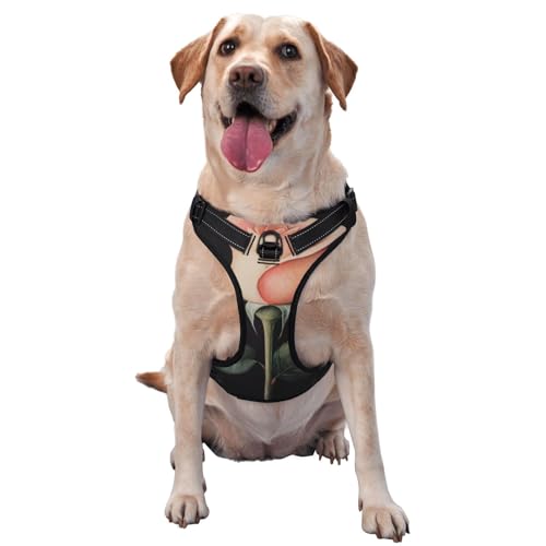 Hundegeschirr mit Rosenblüte, Vintage, kein Ziehen, verstellbar, reflektierend, Oxford, einfache Kontrolle, Größe M und L von Woshuwo