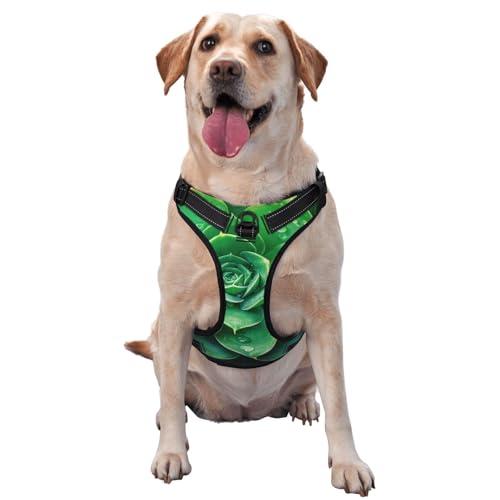 Hundegeschirr mit Sukkulenten, kein Ziehen, verstellbar, reflektierend, Oxford-Gewebe, einfache Kontrolle, Größe M, L, Grün von Woshuwo