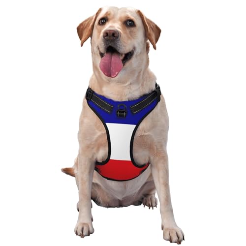 Hundegeschirr mit französischer Flagge, kein Ziehen, verstellbar, reflektierend, Oxford, einfache Kontrolle, Größe M und L von Woshuwo