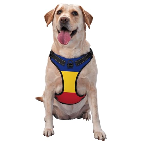 Hundegeschirr mit rumänischer Flagge, kein Ziehen, verstellbar, reflektierend, Oxford, einfache Kontrolle, Größe M und L von Woshuwo