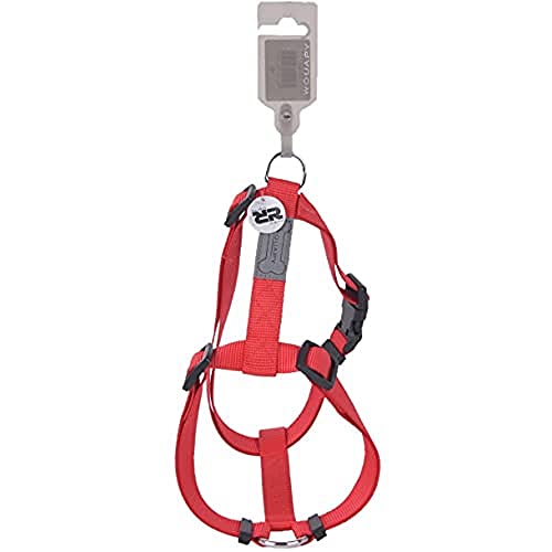 WOUAPY ARNES Basic LINE Rojo 25MM/63-97CM WOUAPY ARNES Basic LINE Rojo 25MM/63-97CM von Wouapy