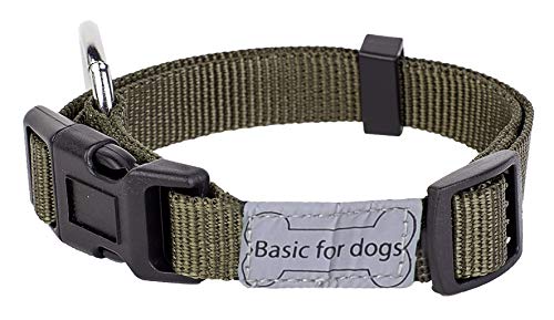 Wouapy Basic Line Halsband für Hunde, 12 mm breit, Halsumfang 20/30 cm, Kaki von Wouapy