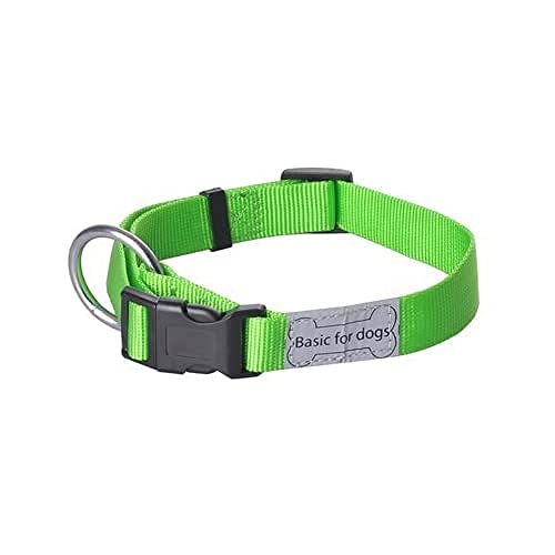 Wouapy Collar Basic LINE Verde 25MM/44-65CM von Wouapy