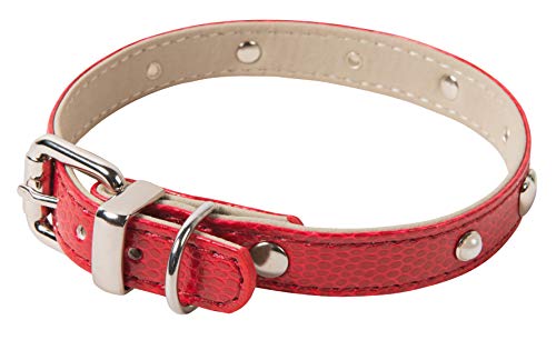 Wouapy Original Halsband für Hunde, 10 mm breit, 25 cm lang, Schlangenlederimitat, Rot von Wouapy