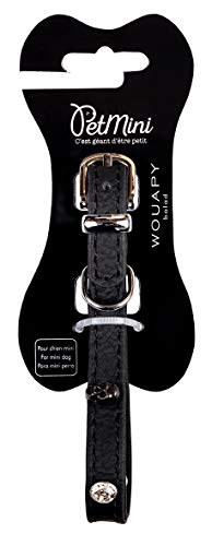 Wouapy Petmini Halsband für kleine Hunde, Kunstleder, mit passenden Totenkopfnieten, 10 mm breit und 25 cm lang Wouapy Petmini Halsband für kleine Hunde, Kunstleder, mit passenden Totenkopfnieten, 10 mm breit und 25 cm lang von Wouapy
