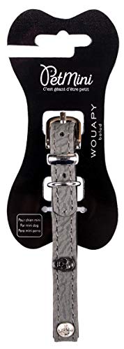 Wouapy Petmini Halsband für kleine Hunde, graues Kunstleder mit passenden Totenkopfnieten, Halsband 15 mm breit und 30 cm lang Wouapy Petmini Halsband für kleine Hunde, graues Kunstleder mit passenden Totenkopfnieten, Halsband 15 mm breit und 30 cm lang von Wouapy