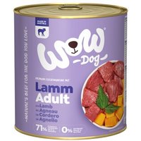 WOW Adult 6x800g Lamm mit Kürbis von Wow