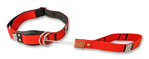 WowWow Professional Hundehalsband mit Leine - rot - Größe L 46-66 cm, 205g leicht, innovatives Halsband mit integrierter Leine - bekannt aus der Höhle der Löwen von WowWow