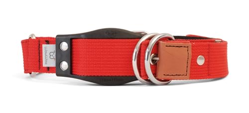 WowWow Professional Hundehalsband mit Leine - rot - Größe L 46-66 cm, 205g leicht, innovatives Halsband mit integrierter Leine - bekannt aus der Höhle der Löwen WowWow Professional Hundehalsband mit Leine - rot - Größe L 46-66 cm, 205g leicht, innovatives Halsband mit integrierter Leine - bekannt aus der Höhle der Löwen von WowWow