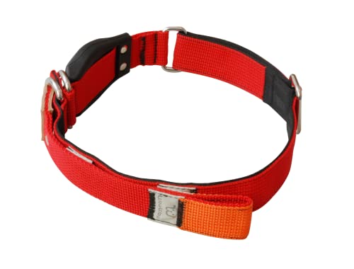 WowWow Professional Hundehalsband mit Leine - rot - Größe M 37-46 cm, 195g leicht, innovatives Halsband mit integrierter Leine - bekannt aus der Höhle der Löwen WowWow Professional Hundehalsband mit Leine - rot - Größe M 37-46 cm, 195g leicht, innovatives Halsband mit integrierter Leine - bekannt aus der Höhle der Löwen von WowWow