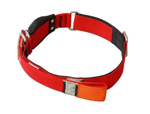 WowWow Professional Hundehalsband mit Leine - rot - Größe M 37-46 cm, 195g leicht, innovatives Halsband mit integrierter Leine - bekannt aus der Höhle der Löwen von WowWow