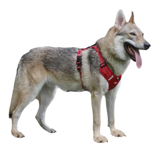 Wowuwoai No Escape Hundegeschirr mit einfacher Kontrolle, reflektierend, kein Würgen, Oxford-Haustierweste für große Hunde (XL, Rot) von Wowuwoai