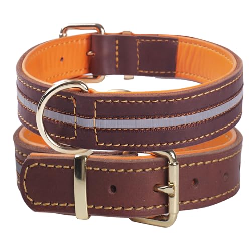 Hochbelastbares Reflektierendes Echtleder Hundehalsband, Verstellbares Weich Gepolstertes Halsband für Mittelgroße, Große und Extra Große XL-Hunderassen(Braun M) von WowwCollars