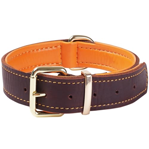 Strapazierfähiges Leder-Hundehalsband, echt gepolstert und handgefertigt für mittelgroße, große und XL-Rassen, Dickes, bequemes Design, Starke weiche Haltbarkeit (M) von WowwCollars