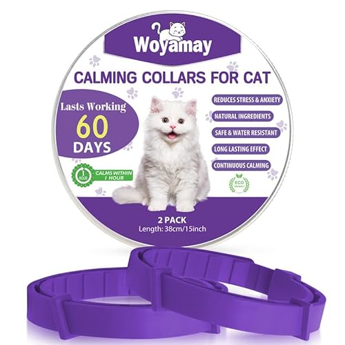Woyamay Beruhigungshalsband für Katzen, Größenverstellbares Katzenhalsband Lindern Stress und Angst, Wasserbeständig Pheromone Katzen Halsbänder für Katzen Aller Größen, 2 Stück, Violett von Woyamay