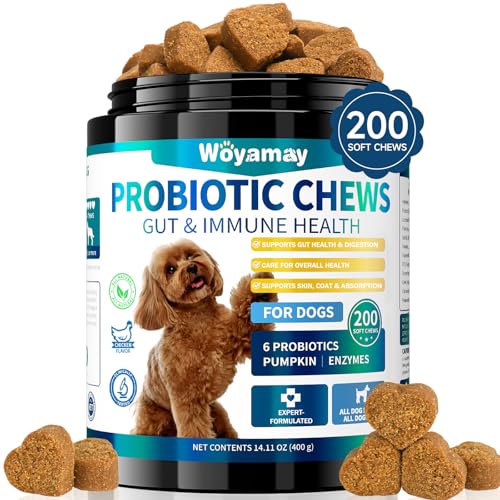 Woyamay Probiotika für Hunde – 200 Weiche Kausnacks Mit Hühnergeschmack, Zur Unterstützung der Verdauung und des Allgemeinen Wohlbefindens, Mit Ausgewogener Darmflora und Fellpflege für Alle Hunde Woyamay Probiotika für Hunde – 200 Weiche Kausnacks Mit Hühnergeschmack, Zur Unterstützung der Verdauung und des Allgemeinen Wohlbefindens, Mit Ausgewogener Darmflora und Fellpflege für Alle Hunde von Woyamay