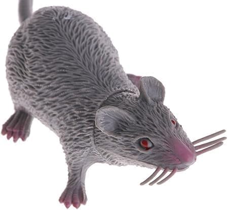 Wpppan Lebensechte gefälschte Maus, realistische Mäuse, gruselige Ratte, Halloween-Streich, Gummiratte mit langem Schwanz, gruselige Aprilscherz-Dekorationen Wpppan Lebensechte gefälschte Maus, realistische Mäuse, gruselige Ratte, Halloween-Streich, Gummiratte mit langem Schwanz, gruselige Aprilscherz-Dekorationen von Wpppan