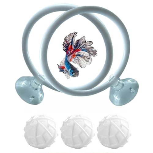 Betta Fisch-Übungsreifen, Betta-Fisch-Trainingsring und Filterbälle, kleine Fische, Übungsreifen mit Saugnapf, Aquarium-Spielzeug Betta Fisch-Übungsreifen, Betta-Fisch-Trainingsring und Filterbälle, kleine Fische, Übungsreifen mit Saugnapf, Aquarium-Spielzeug von Wpsagek