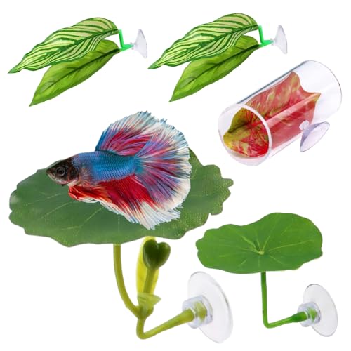 Betta Hängematte | Schlafplatz Für Aquariumfische | 5er Set Weiche Natürliche Laichplätze Für Guppys Ruhezonen Im Aquarium Betta Hängematte | Schlafplatz Für Aquariumfische | 5er Set Weiche Natürliche Laichplätze Für Guppys Ruhezonen Im Aquarium von Wpsagek