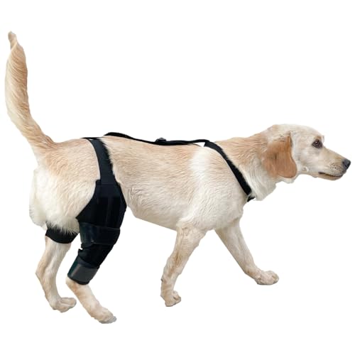 Kniebandage für Hunde, Beinstütze mit verstellbarem Gurt, rutschfest, weich, für Fixierung, Erholung, Rehabilitation Kniebandage für Hunde, Beinstütze mit verstellbarem Gurt, rutschfest, weich, für Fixierung, Erholung, Rehabilitation von Wpsagek