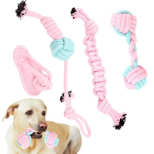 Seilspielzeug für Hunde, 4 x robustes Kauspielzeug, interaktives Spiel zur Linderung von Langeweile, Zahnreinigung, Trainingsaktivitäten für mittlere und kleine Rassen Seilspielzeug für Hunde, 4 x robustes Kauspielzeug, interaktives Spiel zur Linderung von Langeweile, Zahnreinigung, Trainingsaktivitäten für mittlere und kleine Rassen von Wpsagek